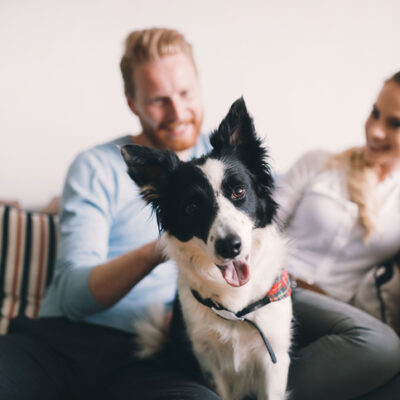 Are You and Your Spouse Ready for a Pet?