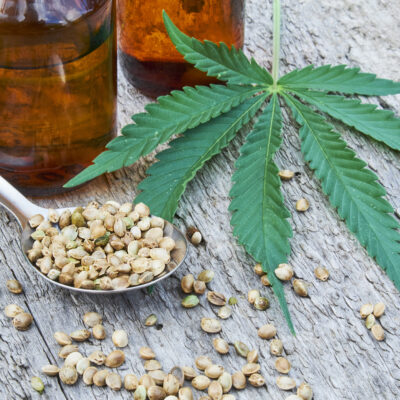 Everything You Need to Know About Hemp